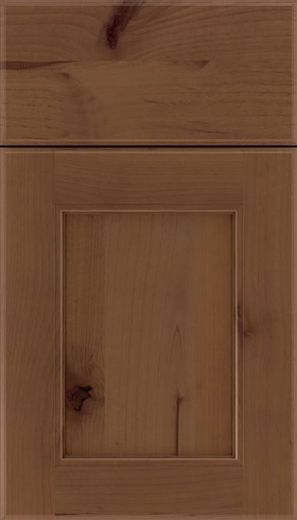 Tamarind Alder shaker cabinet door in Sienna