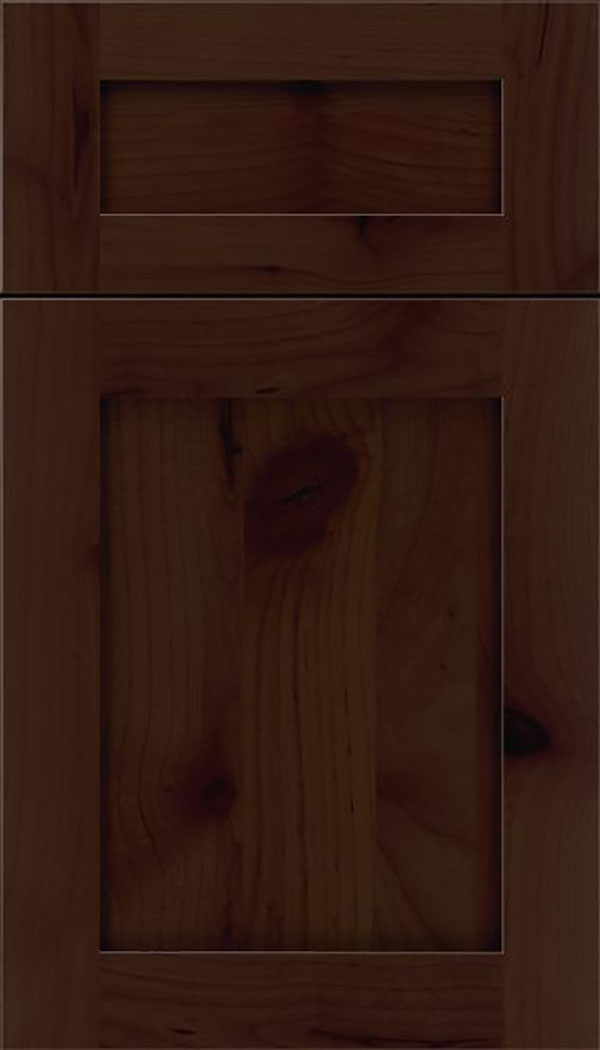 Salem 5pc Alder shaker cabinet door in Cappuccino