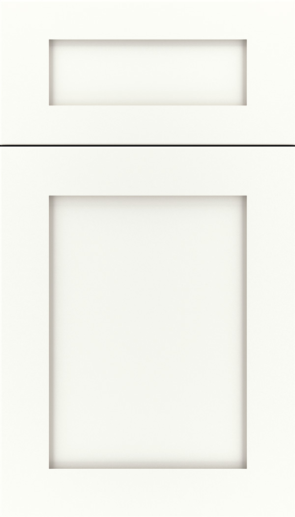 salem_5pc_mdf_cabinet_door_whitecap